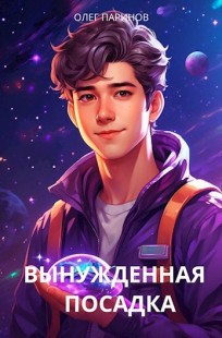 Обложка книги Вынужденная посадка