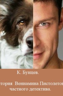 Обложка книги История Вениамина Пистолетова, частного детектива