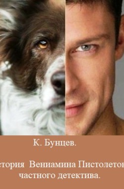 Обложка книги История Вениамина Пистолетова, частного детектива