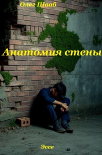Обложка книги Анатомия стены