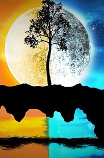 Читать онлайн Том шестой За гранью иллюзий Обложка книги Том шестой За гранью иллюзий