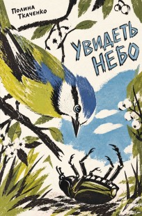 Обложка книги Увидеть небо