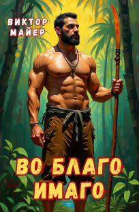 Обложка книги Во благо имаго
