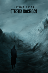 Обложка книги Отмели космоса