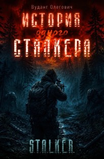 Обложка книги История одного сталкера