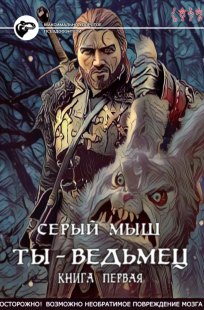 Обложка книги Ты – ведьмец | Книга первая