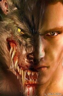 Обложка книги Таёжный зверь