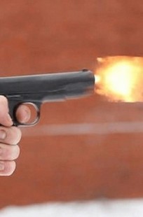 Обложка книги Смертельный обыск