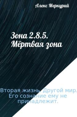 Обложка книги Зона 2.8.5. Мëртвая зона