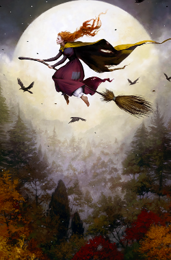 Обложка книги Ночная прогулка: несколько часов из жизни современной ведьмы