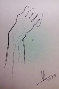 Обложка книги ПТИЧКА. КИНОСЦЕНАРИЙ КОР. МЕТР