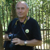 Владимир Головков