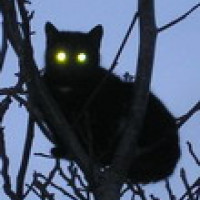  Елена Руденко