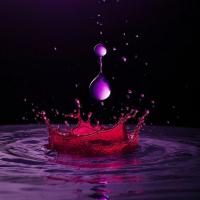 Доминик Ардт