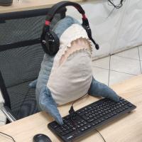 Дарья Вельсова 