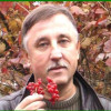 Юджин Папуша