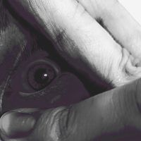 Андрей Дестров