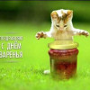 олга крутоверцева