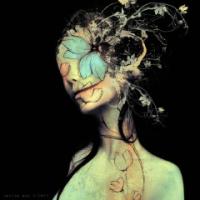 Липка Маргарита 