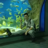 Атомный Макс 