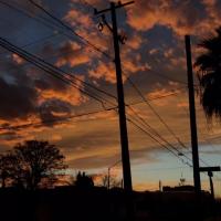 Мохира Ибодова 