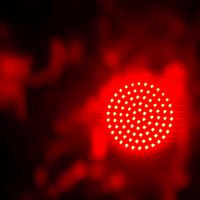 Максим  Мостовой 