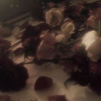 Анна Дмитриева