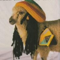 Дунаев Виктор 