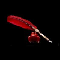 Bloody Feather
