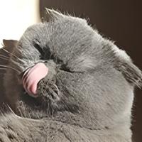 Владимир Косов