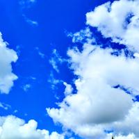 Павел Чаранин