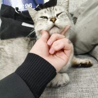 Ева ♡⁠(⁠˃͈⁠ ⁠દ⁠ ⁠˂͈⁠ ⁠༶⁠ ⁠)