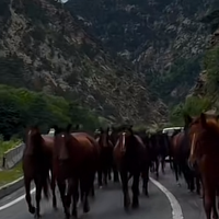 Читатель-g621407 Теб