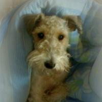 Владимир Нефедов